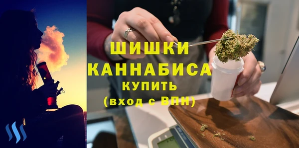 спиды Богородск