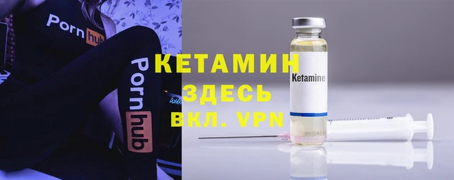твердый Бородино