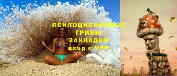 спиды Богородск