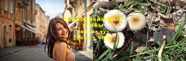 твердый Бородино