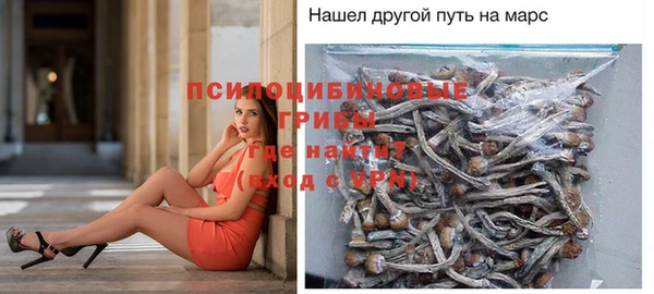 твердый Бородино