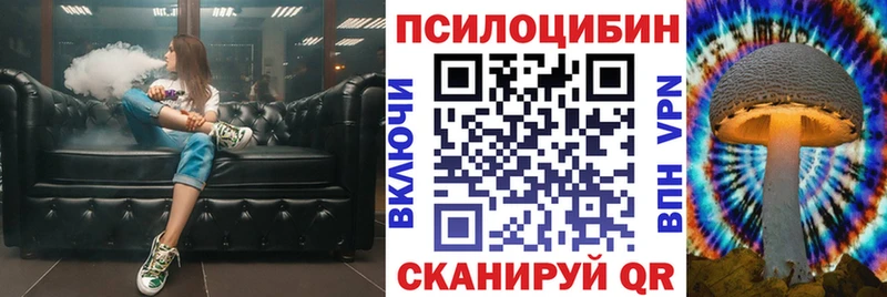 гидра tor  купить наркотик  Можайск  Галлюциногенные грибы Magic Shrooms 
