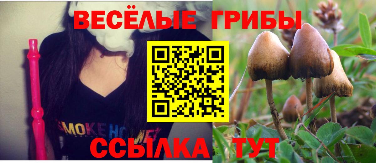 Можайск  Псилоцибиновые грибы Psilocybe  где купить наркоту  Галлюциногенные грибы мухоморы  Вход с VPN 